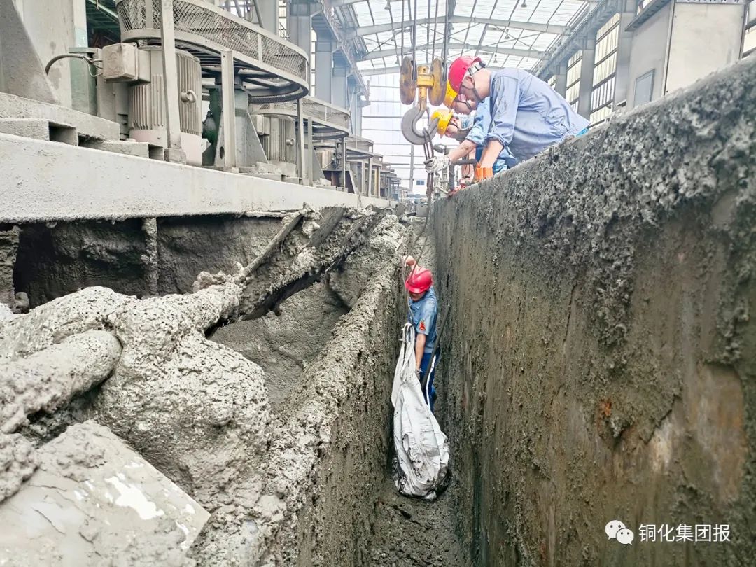 香港马开奖2023年记录