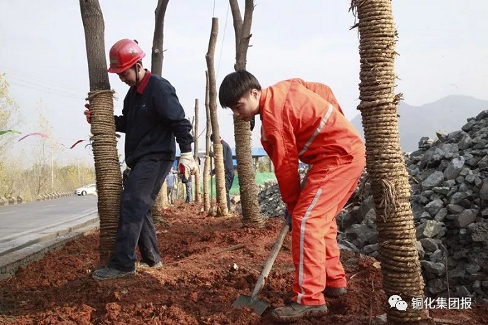 香港马开奖2023年记录