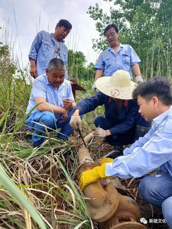 香港马开奖2023年记录