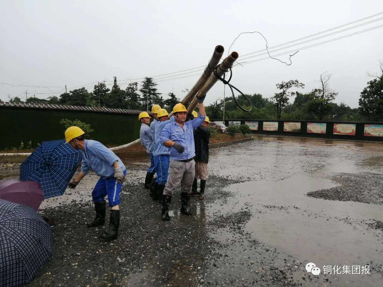 香港马开奖2023年记录