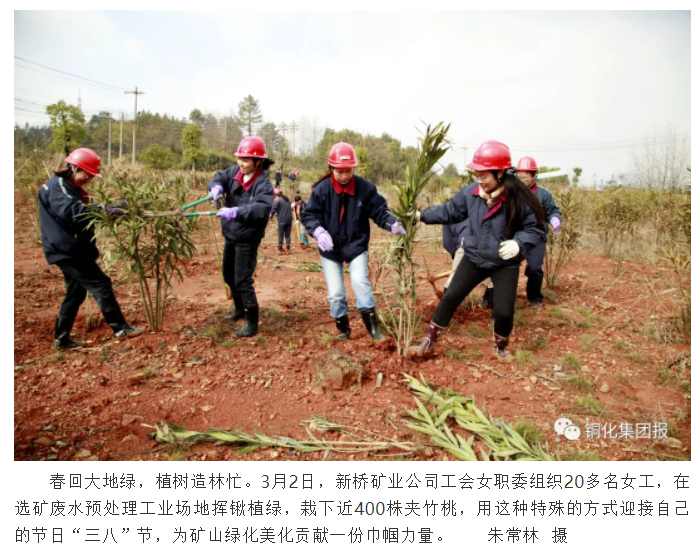 香港马开奖2023年记录